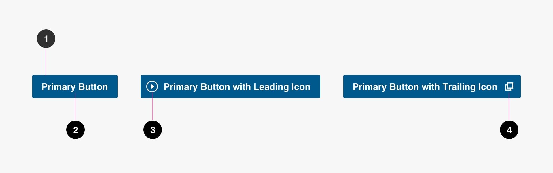 Primary Button Anatomy Image