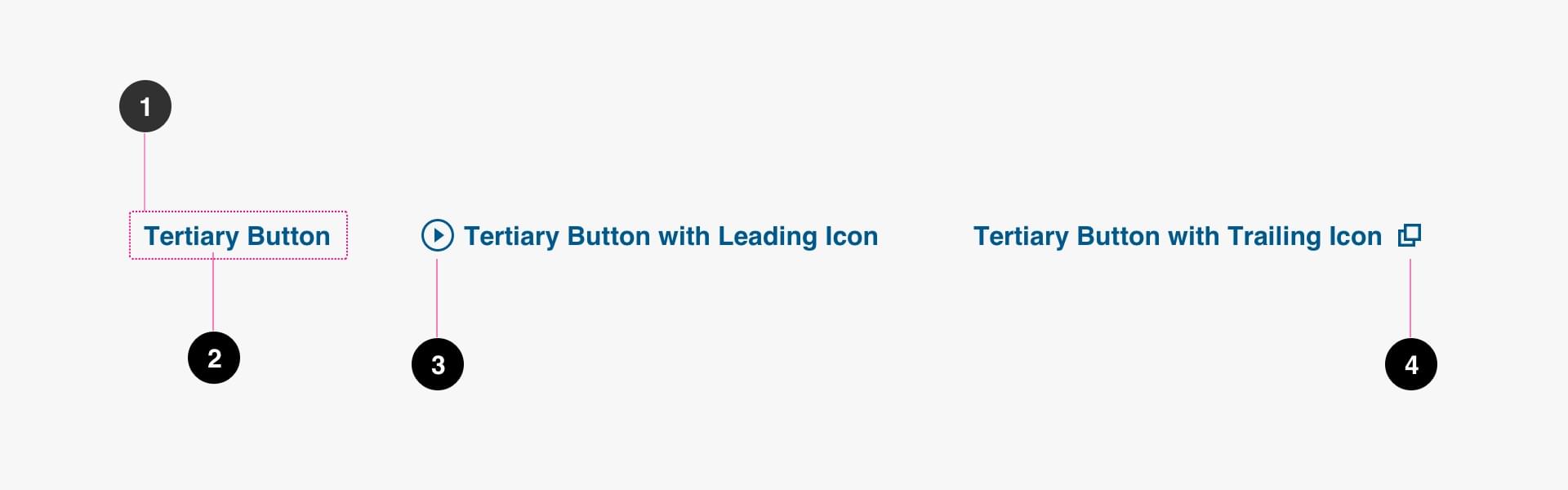 Tertiary Button Anatomy Image