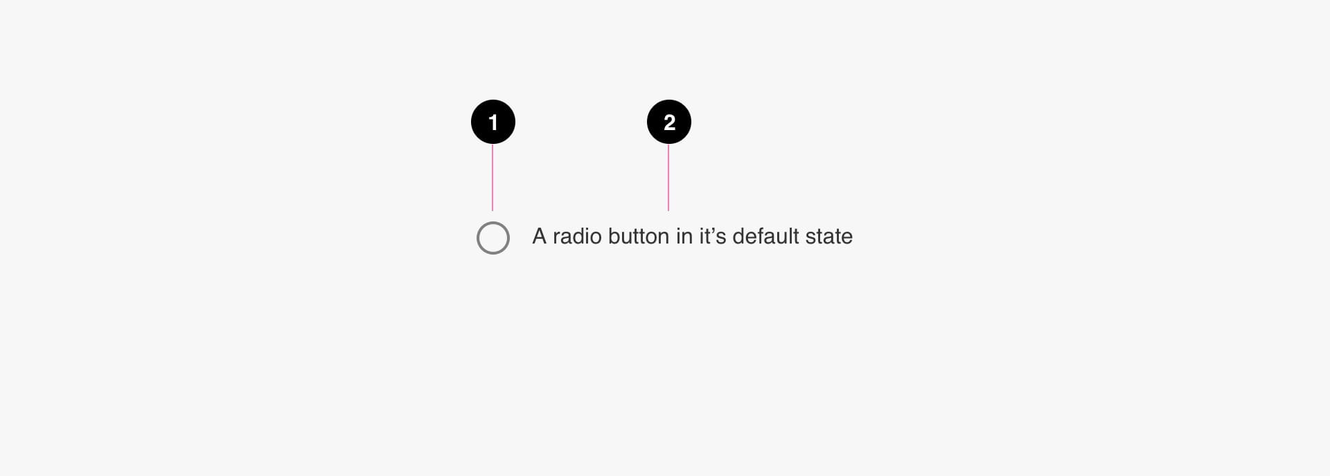 Radio Buttons Anatomy Image