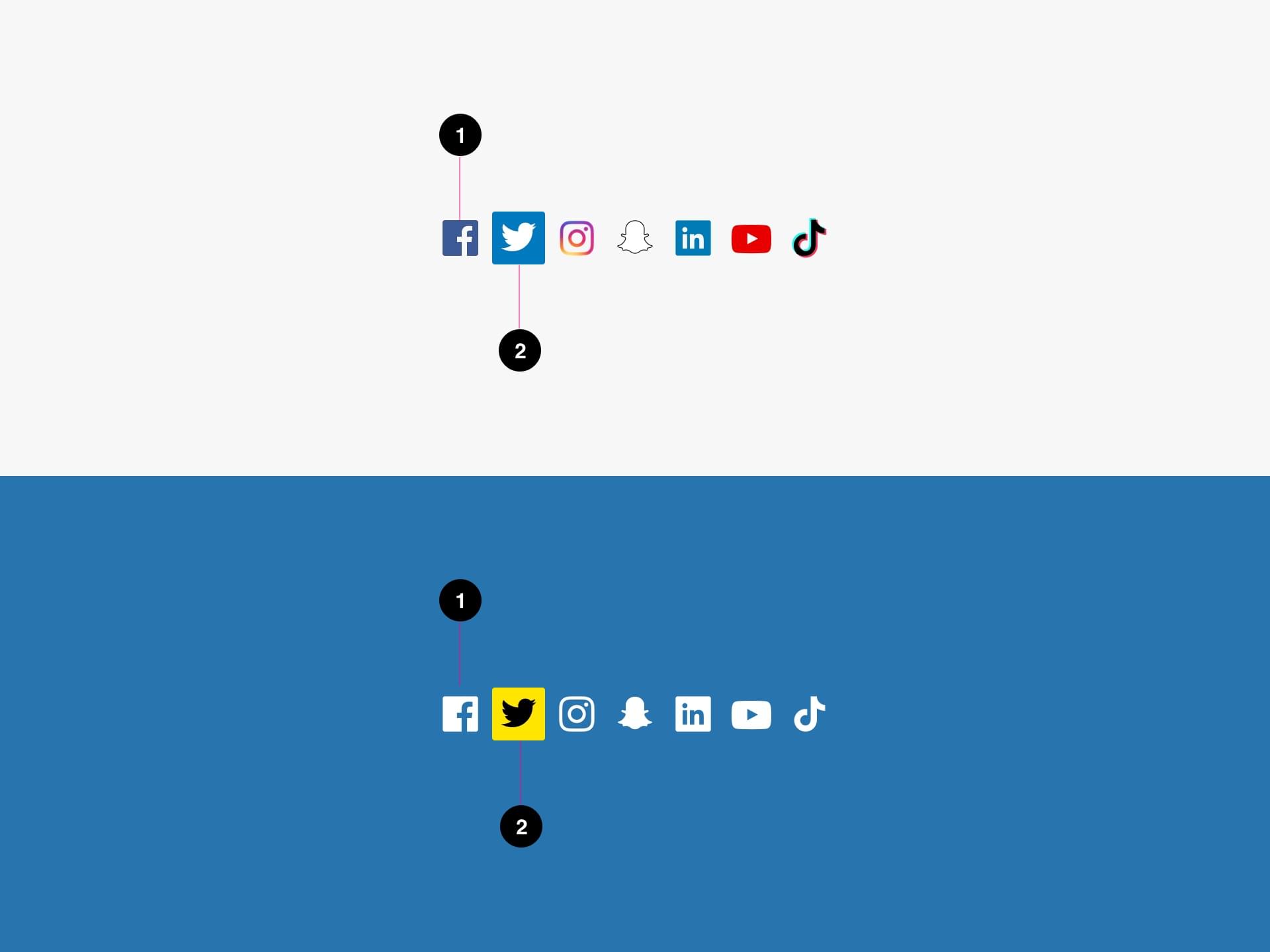 Social Links Anatomy Image