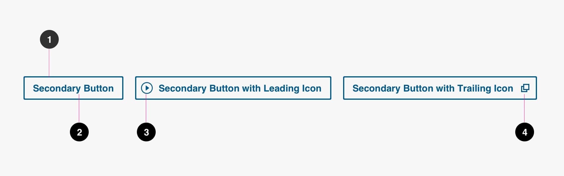 Secondary Button Anatomy Image