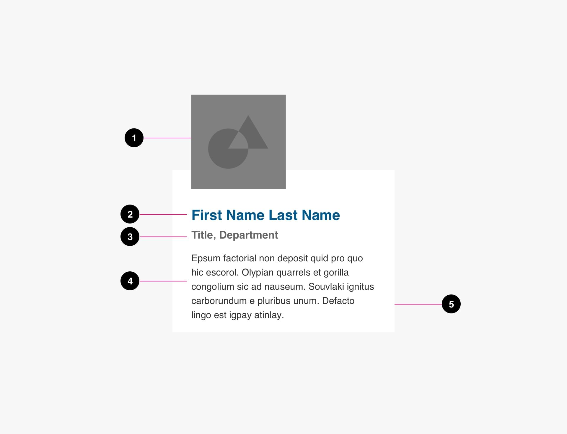 Person Card Anatomy Image