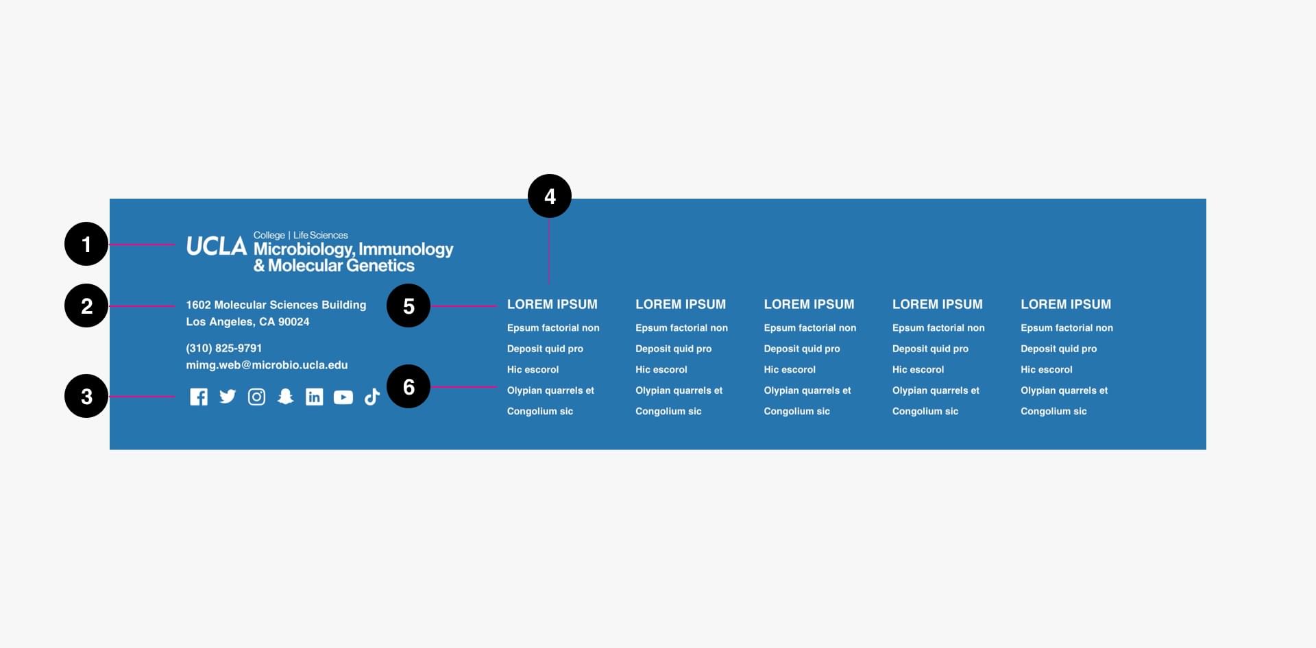 Department Footer Anatomy Image