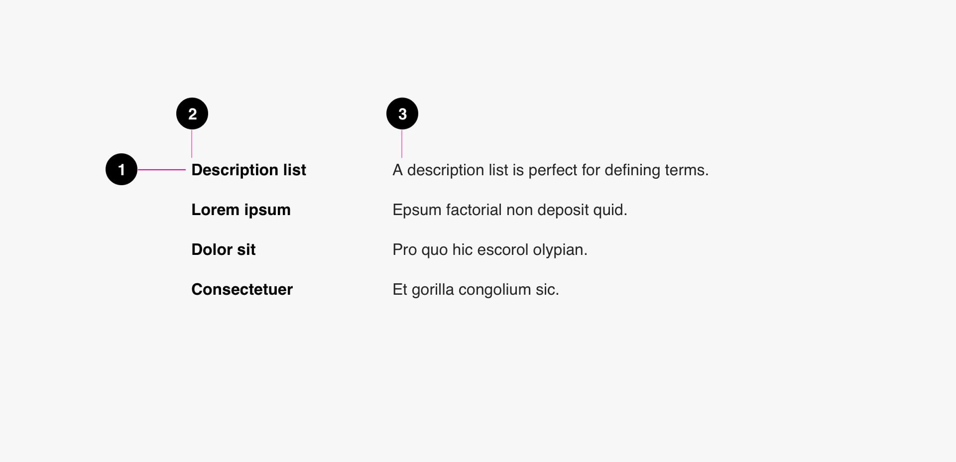 Definitions List Anatomy Image