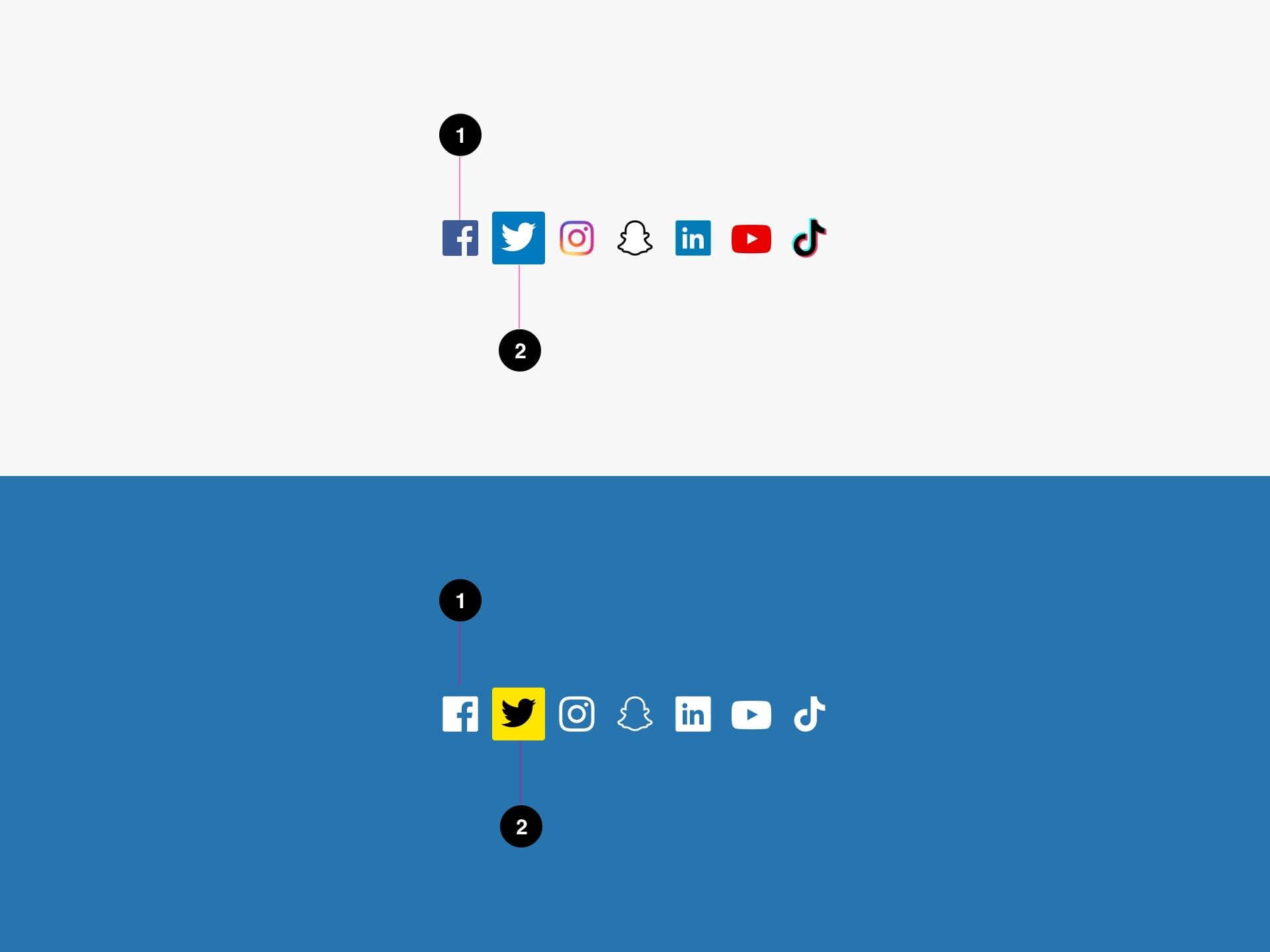 Social Links Anatomy Image